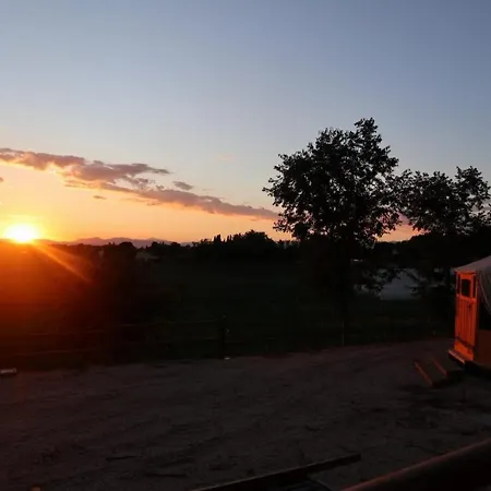 אוהל מפואר Atman Glamping Yurta *